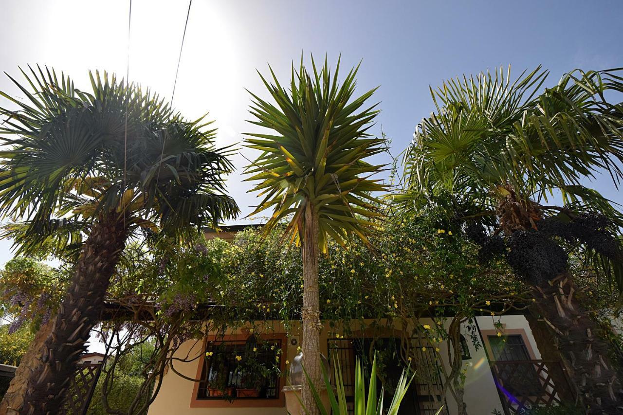 B&B Agave 64 Пьяцца-Армерина Экстерьер фото